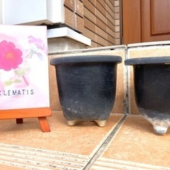 植木鉢②さしあげますの画像