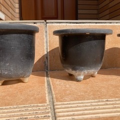 植木鉢②さしあげます