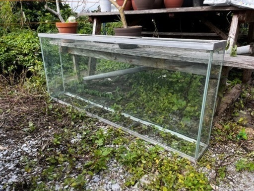 ガラス水槽 1500×600×200