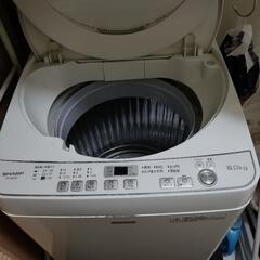 受け渡し決定【受渡日3/13指定】6kg 洗濯機 2016年製 SHARP シャープ ひとり暮らし 単身の画像