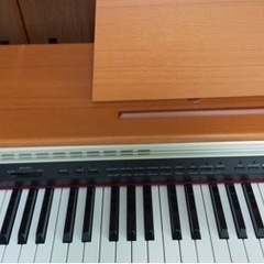 初心者用にどうでしょうか？の画像