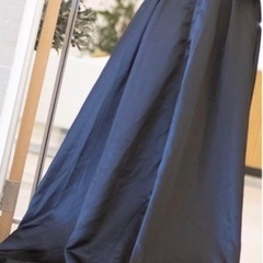 カラードレスブラックの画像