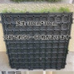 芝生　芝　ベランダの画像