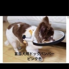 ドッグバンパー　盲目犬用補助グッズ