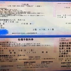 T-BOLAN 3/16（土）ライブチケットミルハス