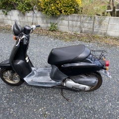 ホンダtodayAF61の画像