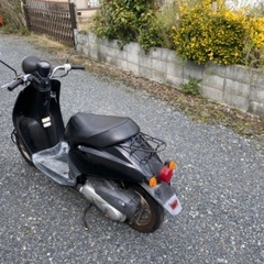 ホンダtodayAF61の画像