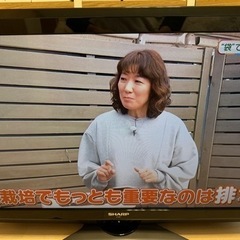 液晶カラーテレビ 32型 AQUOS SHARP シャープ lC-32E7の画像