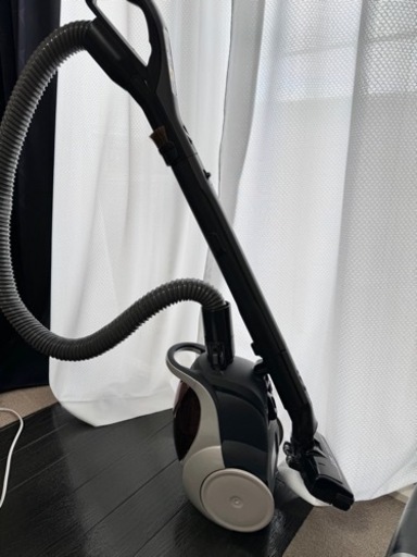 家電 生活家電 掃除機
