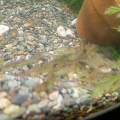 生活雑貨 家庭用品 ガーデニングの画像