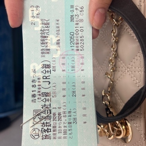 2024年春青春18きっぷ4回分