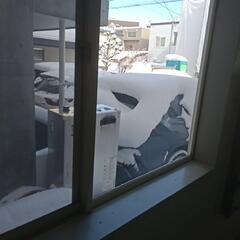 急な雪でお困りの方へ