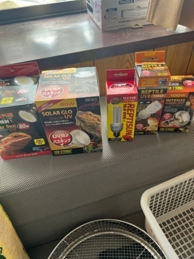 爬虫類用バスキングライトとUVBランプ