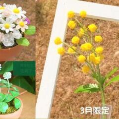 ⭐樹脂粘土でお花を作ろう⭐