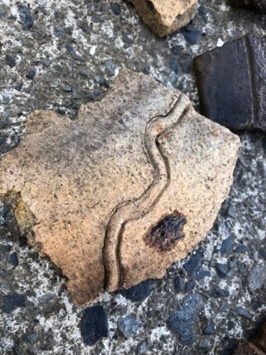 縄文、弥生　土器　色々