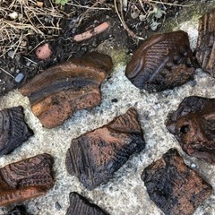 縄文、弥生　土器　色々の画像