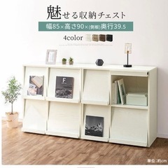 【受付終了】美品　組立済 フラップラック