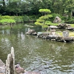 お茶会しませんか？