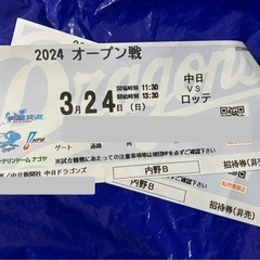 3/24 プロ野球オープン戦　中日対千葉ロッテ