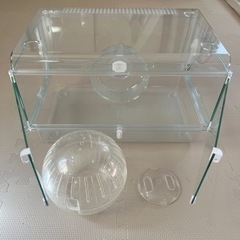 お受け渡し予定者決定　ハムスターゲージ　ハムスター飼育セットの画像