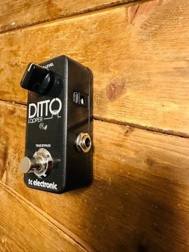tc electronic  Ditto Looper