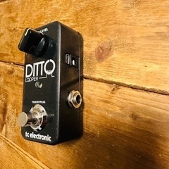 tc electronic  Ditto Looperの画像