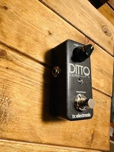 tc electronic  Ditto Looper