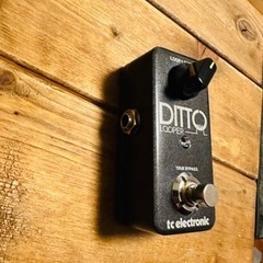 tc electronic  Ditto Looperの画像