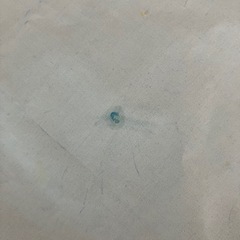 スイスイお絵描き の画像