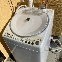 家電 生活家電 洗濯機