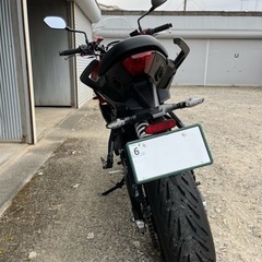 トライアンフ タイガースポーツ660 中古超美車の画像