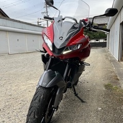 トライアンフ タイガースポーツ660 中古超美車の画像