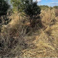 基山町の僻地、崖の土地が欲しい方