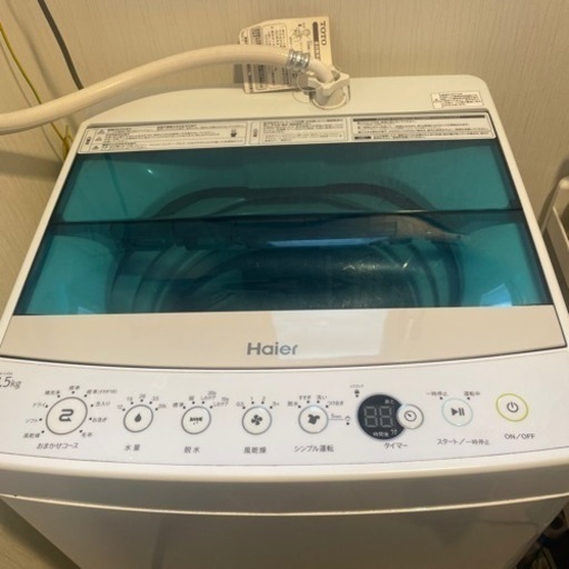 家電 生活家電 洗濯機