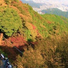 登山好き必見！高尾山でのトイレ清掃⛰️の画像