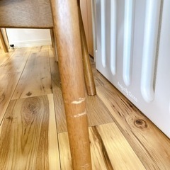 ニトリ　家具 ダイニングセットの画像