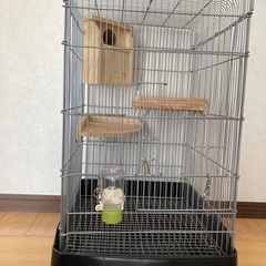 小動物　ゲージ　小鳥　リス　モモンガの画像