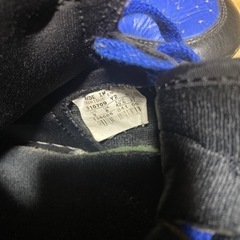 AJ1  2001 
の画像