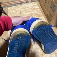AJ1  2001 
の画像