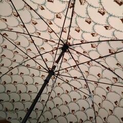 再々値下げ新品🐱ポールアンドジョーPAUL＆JOE長傘60センチの画像