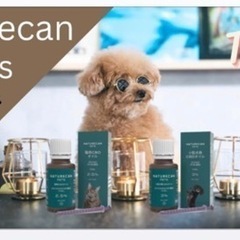 ペット用CBDオイル🐈🐕
