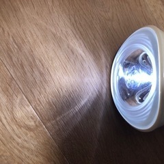 3/16まで　懐中電灯の画像