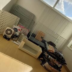 うさぎ飼育はじめようセット　まとめ売りの画像