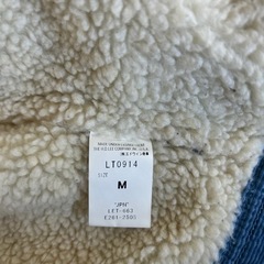 LeeSTORMRIDERの画像