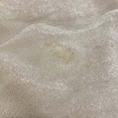 シングルサイズ  敷毛布の画像