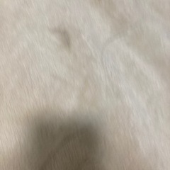 シングルサイズ  敷毛布の画像