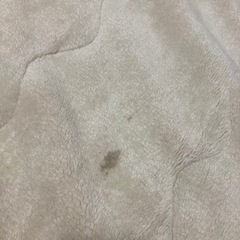 シングルサイズ  敷毛布の画像