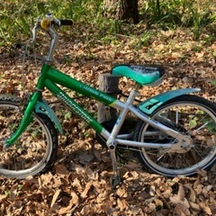 20%OFF】中古 自転車 激安 子供用自転車 国内メーカー Eco Kids
