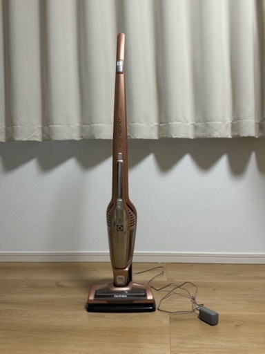 家電 生活家電 掃除機