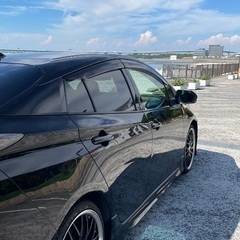 ロクサーニマルチフォルケッタ19インチ